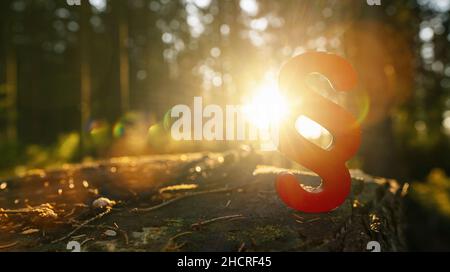 Absatz Symbol für Recht und Gerechtigkeit in die Waldsonne auf einem Baumstamm, Textzeile für Ihren individuellen Text. Stockfoto