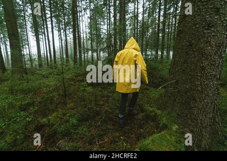 Mann in gelber Regenjacke geht in den gruseligen und nebligen Wald Stockfoto