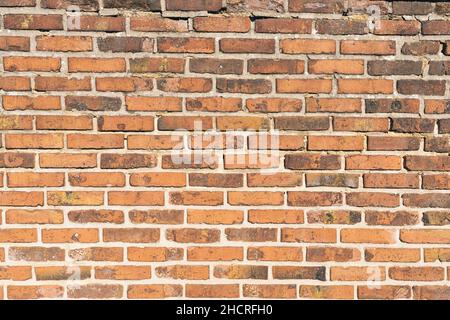 Brick Wall von roter Farbe Stockfoto