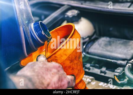 Tanken und Einfüllen der Ölqualität in das Getriebe- und Wartungsgetriebe des Motorwagens. Energiekraftstoffkonzept. Stockfoto