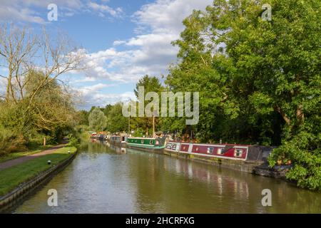 Abschnitt des Grand Union Canal, der zum Foxton Schrägflugzeug, Foxton Locks, auf der Leicester-Linie des Grand Union Canal, Leicestershire, Großbritannien, führt. Stockfoto