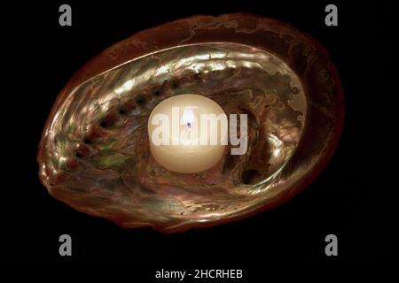 Abalone Muschel mit einer brennenden Kerze. Schwarzer Hintergrund. Stockbild. Stockfoto