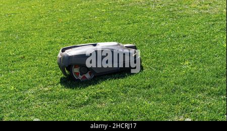 Roboter-Rasenmäher auf dem Rasen, Seitenansicht Stockfoto