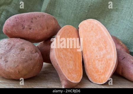 Kamote Knollen, Sorte von Süßkartoffeln 'Ipomoea batatas', philippinische Heilkräuterpflanze, Kalifornien, Stockfoto