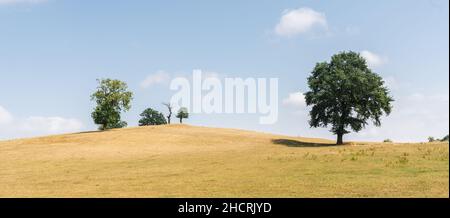 Landschaft mit Bäumen auf Hügeln und wunderschönen Bergen Stockfoto