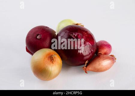 Drei verschiedene Arten von Zwiebeln auf weißem Hintergrund. Stockfoto