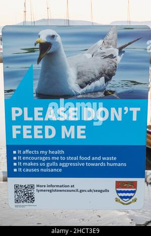 England, Dorset, Lyme Regis, Seagull Awareness Poster Stockfoto