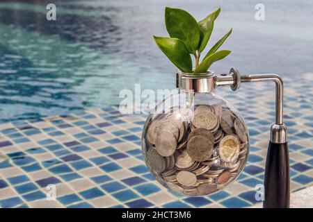 Bangkok, Thailand - 26. Jun 2020 : die Setzlinge, die auf dem Münzstapel in einer Glasflasche auf Pool-Hintergrund wachsen, sind Symbol für das Wachstum des Unternehmens. Investieren Stockfoto