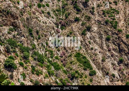 Ruine einer Geisterstadt im Nationalpark Aspromonte mit dem Fiumara (Fluss) von Amendolea, Kalabrien, Italien Stockfoto