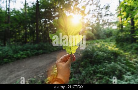 Ideal für Websites und Zeitschriften Layouts Stockfoto