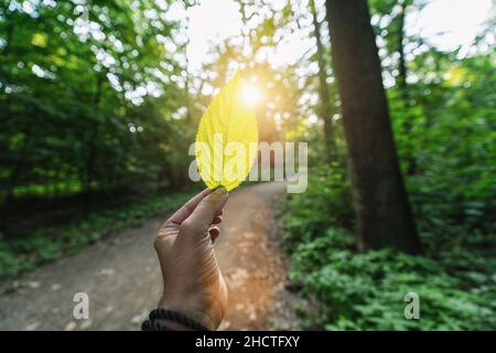 Ideal für Websites und Zeitschriften Layouts Stockfoto