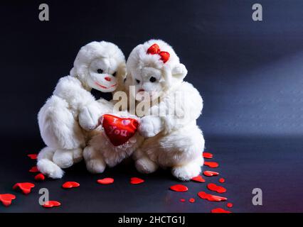 Affen mit weichem Spielzeug, die ein Herz auf einem schwarzen Hintergrund halten. Ein Symbol der Liebe. valentinstag Stockfoto