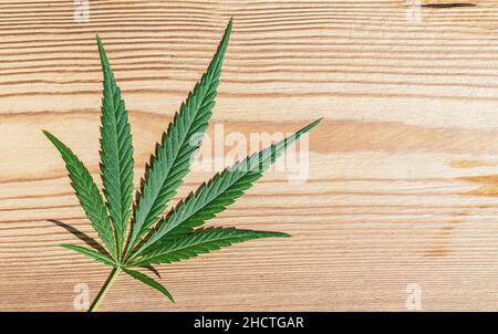 Weibliches Marihuana-Blatt auf Holzhintergrund Stockfoto