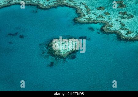 Berühmtes Heart Reef im zum Weltnaturerbe zählenden Great Barrier Reef. Stockfoto