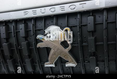 Peugeot Auto-Logo mit Regentropfen. Peugeot ist eine französische Automobilmarke, die zu PSA Peugeot Honda gehört. Stockfoto