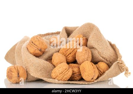 Mehrere reife köstliche Walnüsse in einem Jutebeutel, Nahaufnahme, isoliert auf Weiß. Stockfoto