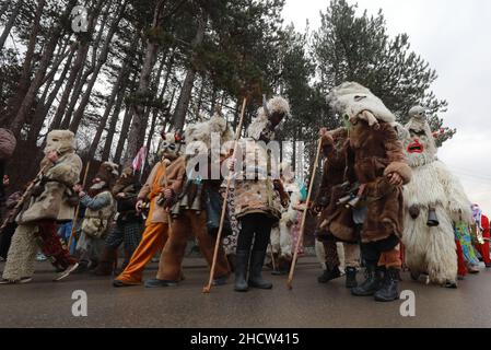 Mummers in traditionellen Kostümen tourten am ersten Tag des Jahres 2022 durch die Straßen von Godech. Menschen mit einer Maske namens Kukeri tanzen Stockfoto