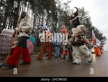 Mummers in traditionellen Kostümen tourten am ersten Tag des Jahres 2022 durch die Straßen von Godech. Menschen mit einer Maske namens Kukeri tanzen Stockfoto