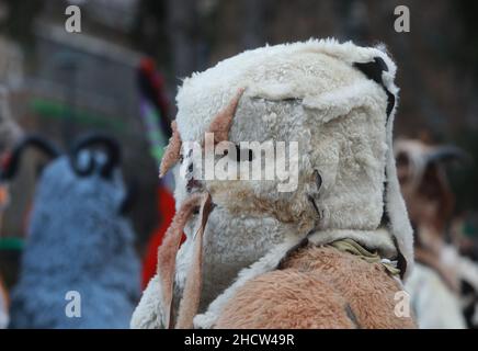 Mummers in traditionellen Kostümen tourten am ersten Tag des Jahres 2022 durch die Straßen von Godech. Menschen mit einer Maske namens Kukeri tanzen Stockfoto