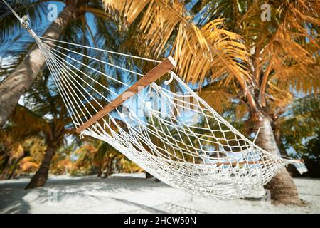 Hängematte hängen zwischen zwei Kokospalmen am weißen Sandstrand. Themen Reisen, Entspannung und Urlaub. Stockfoto