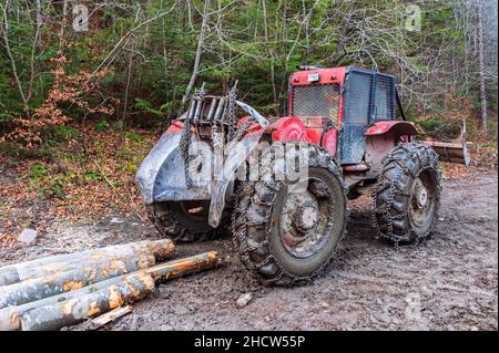 Der rote Skidder im Wald. Die Schleudermaschine aus Holz. Große Gummiräder mit Ketten erleichtern die Bewegung in schwierigem Gelände Stockfoto