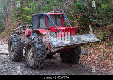 Der rote Skidder im Wald. Die Schleudermaschine aus Holz. Große Gummiräder mit Ketten erleichtern die Bewegung in schwierigem Gelände Stockfoto