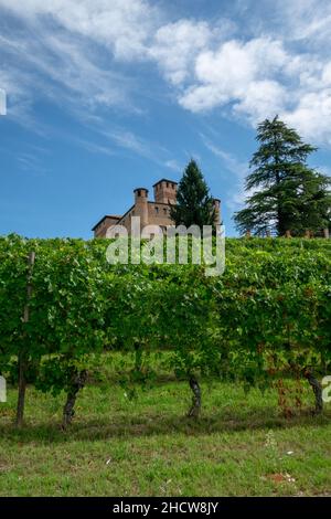 GRINZANE CAVOUR - CUNEO - ITALIA - 6. AUGUST 2021: Auf dem Gebiet der Langhe, mit Langhe Museum, faszinierende historische Räume, kostbare Cavouria Stockfoto