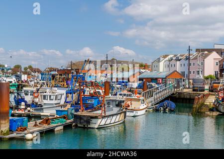 Fischerboote vertäuten in Camber Quay in Portsmouth Harbour, Hampshire, Südküste Englands Stockfoto