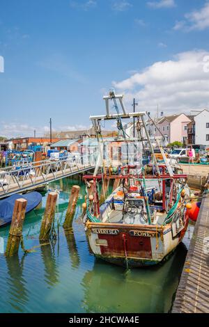 Fischerboote vertäuten in Camber Quay in Portsmouth Harbour, Hampshire, Südküste Englands Stockfoto