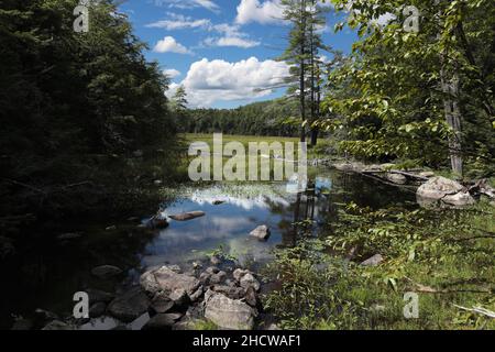 Erle Pond in der Pharaoh Lake Wilderness, südlich der High Peaks, in der Adirondack Mountain Region im Bundesstaat New York, USA Stockfoto