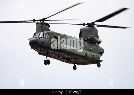 Volkel, Niederlande - 14. Juni 2013: Militärhubschrauber auf Luftbasis. Flugbetrieb der Luftwaffe. Luftfahrt und Flugzeuge. Luftverteidigung. Militärindustr Stockfoto