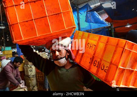 Der junge Mann, der mit der Fischerei arbeitet, ist während der Pandemie auf dem Fischgroßmarkt in Kalkutta, Westbengalen in Indien, beschäftigt. Stockfoto