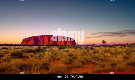 Uluru, Australien - 27. Dezember 2021: Der Uluru, der berühmte riesige Monolith-Felsen in der australischen Wüste, wechselt bei Sonnenuntergang seine Farbe. Bild aufgenommen aus Stockfoto