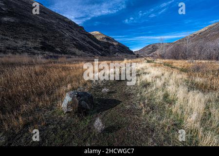 Entlang des Umtanum Creek Trail, WA Stockfoto