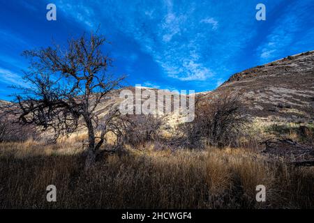 Entlang des Umtanum Creek Trail, WA Stockfoto