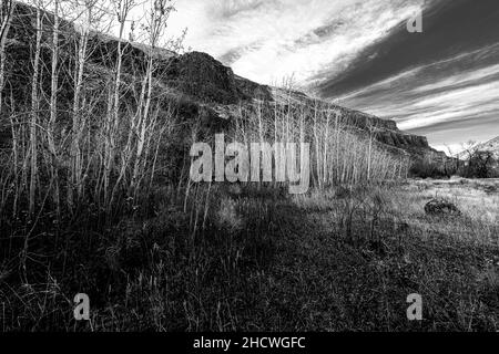 Entlang des Umtanum Creek Trail, WA Stockfoto