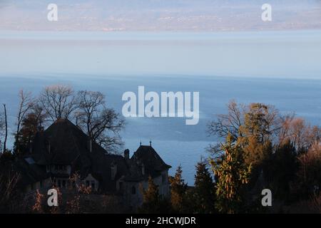 Genfersee mit einem Schloss inmitten der Bäume Stockfoto