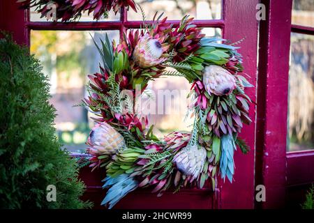 Winter-Protea-Kranz auf einem roten Türrahmen Stockfoto