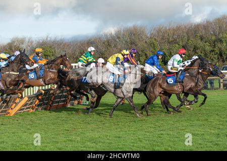 Prinzessin T läuft am zweiten Weihnachtsfeiertag 2021 in Wincanton Stockfoto