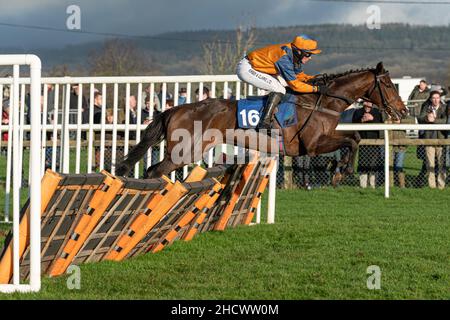 Checkitsme läuft in Wincanton am zweiten Weihnachtsfeiertag 2021 Stockfoto