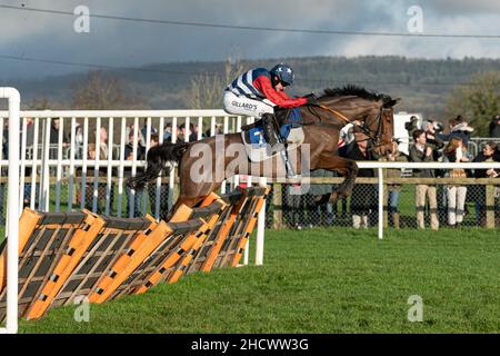 Novus Aditus läuft am zweiten Weihnachtsfeiertag 2021 in Wincanton Stockfoto