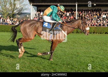 Dhowinlaufen in Wincanton am zweiten Weihnachtsfeiertag 021 Stockfoto