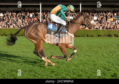 Dhowinlaufen in Wincanton am zweiten Weihnachtsfeiertag 021 Stockfoto