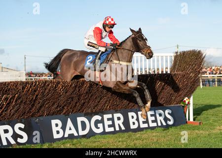 Highway One O One läuft am zweiten Weihnachtsfeiertag 2021 in Wincanton Stockfoto