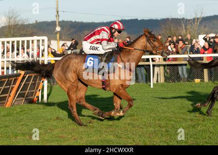 Flemcara läuft am zweiten Weihnachtsfeiertag 2021 in Wincanton Stockfoto