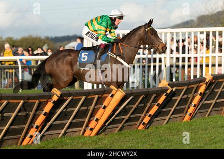 Dame de Compagnie läuft am zweiten Weihnachtsfeiertag 2021 in Wincanton Stockfoto