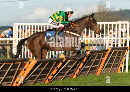 Dame de Compagnie läuft am zweiten Weihnachtsfeiertag 2021 in Wincanton Stockfoto