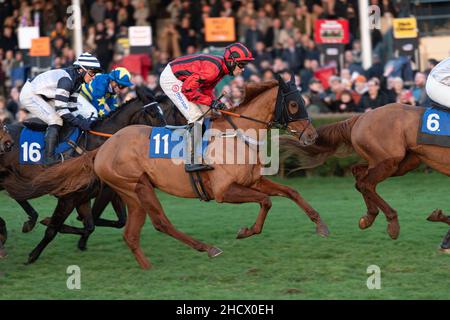 Phoenix Risen ist auf der Zielfahrt zum zweiten Weihnachtsfeiertag 2021 in Wincanton Stockfoto