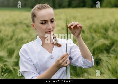 Ökologe in einem weißen Mantel und einer Brille, die Pflanzen untersucht. Stockfoto