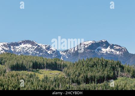 Ein teilweise abgeholzter Wald auf West Thurlow Island von British Columbia, mit schneebedeckten Gipfeln der Prince of Wales Range auf Vancouver Island, die sich im Hintergrund erheben. Stockfoto